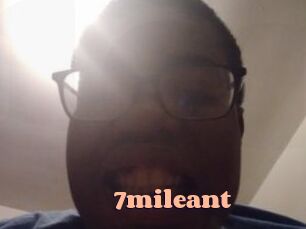 7mileant