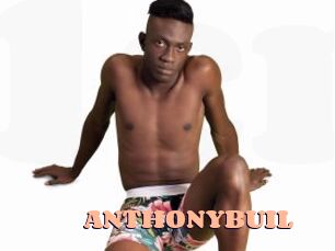 ANTHONYBUIL