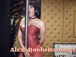 AlexaBoobsBondage