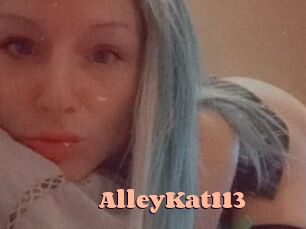 AlleyKat113