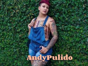 AndyPulido