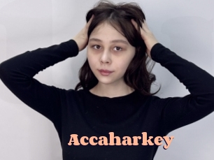 Accaharkey