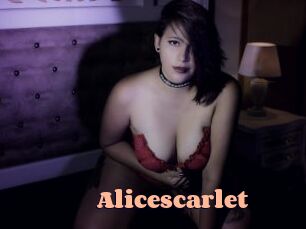 Alicescarlet