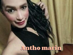 Antho_marin