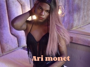 Ari_monet