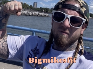 Bigmikesfit