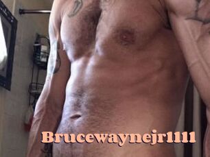Brucewaynejr1111