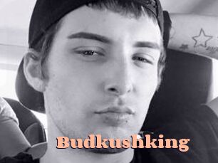 Budkushking