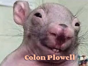 Colon_Plowell