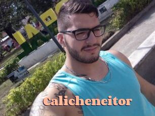 Calicheneitor