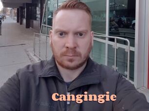 Cangingie