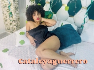 Cataleyaguerrero