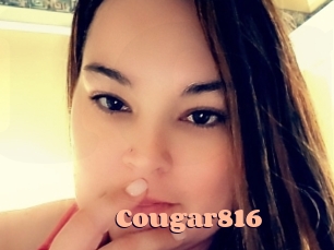 Cougar816