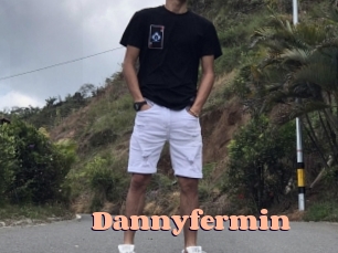 Dannyfermin