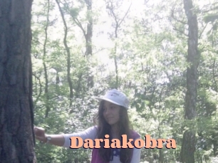 Dariakobra