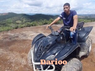 Darioo