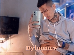 Dylannew