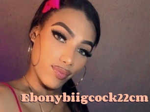 Ebonybiigcock22cm