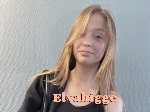 Elvabigge