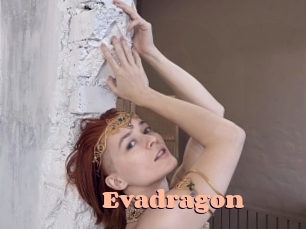 Evadragon