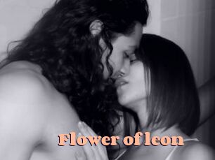 Flower_of_leon