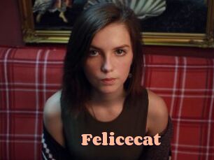 Felicecat