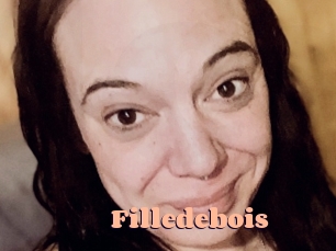 Filledebois