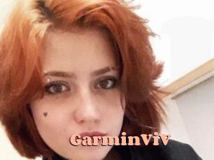 GarminViV