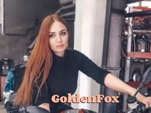 GoldenFox