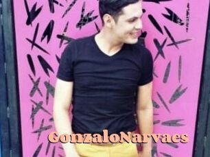 GonzaloNarvaes