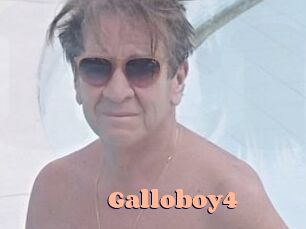 Galloboy4