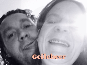 Geilebeer