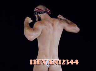 HEVAN12344