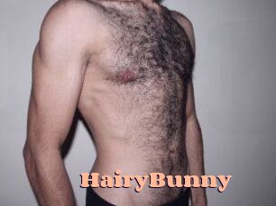 HairyBunny