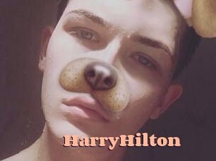 HarryHilton