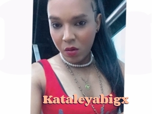 Kataleyabigx