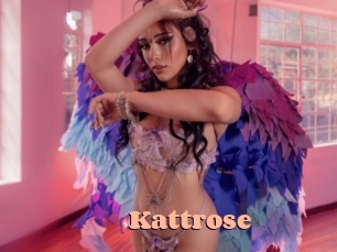 Kattrose