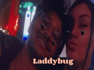 Laddybug