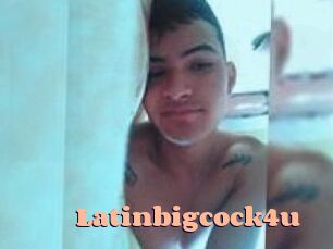 Latinbigcock4u