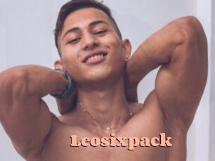 Leosixpack