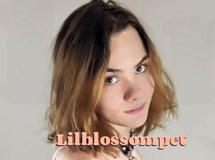 Lilblossompet