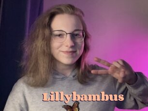 Lillybambus