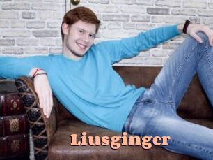 Liusginger