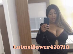 Lotusflower420710