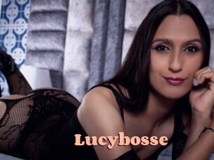 Lucybosse