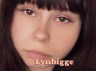 Lynbigge