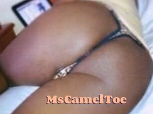 MsCamelToe