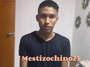 Mestizochino23