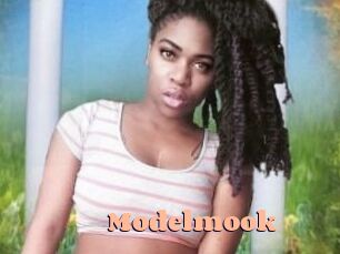 Modelmook