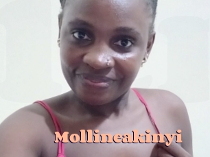 Mollineakinyi